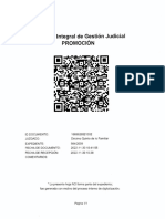 Libelo PDF