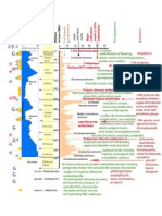 Geological Time Scale - Detailed