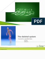 Lecture 6 (Skeletal System Lecture 4)
