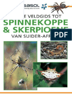 Eerste Veldgids tot Spinnekope en Skerpioene van Suid Afrika