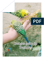 Budgies-Guidlines