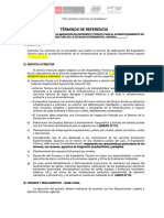 TDR - MODELO - EXPEDIENTES TÉCNICOS - ED3