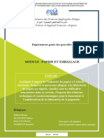 Rapport Papier Et Emballage 2eGPPO 2021-2022
