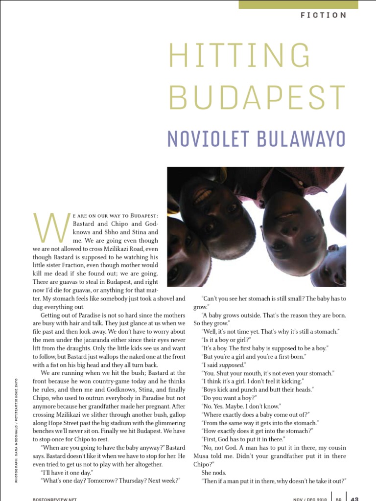 Hitting Budapest PDF
