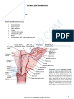 Sistema Genital Femenino