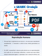 Descrição Dos Órgãos Reprodutores e Suas Funções