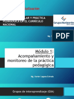 GIA y Reflexión Crítica en el Currículo Nacional