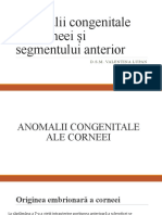 Anomalii Congenitale Ale Corneei Și Segmentului Anterior