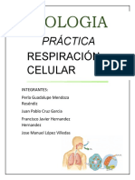 Biologia Respiracion Celular