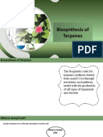 Biosynthesis of Terpenes