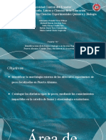 Identificación de peces en los ríos Napo y Arajuno