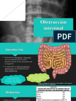 Obstrucción Intestinal