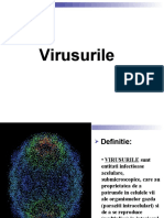 Virus Uri