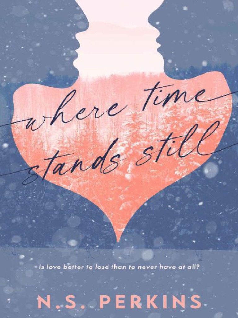 Where Time Stands Still by N.S. Perkins PDF