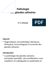 07 Pathologies Des Glandes Salivaires