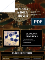 Micología Médica Ii