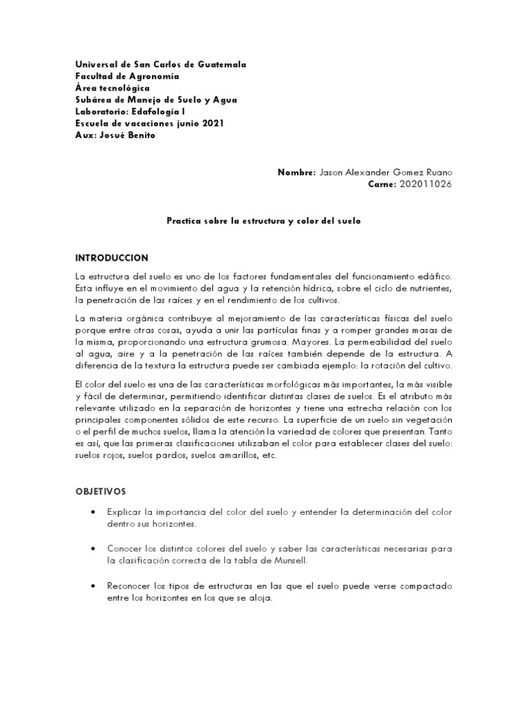 Color y Estructura Descargar gratis PDF Suelo Color