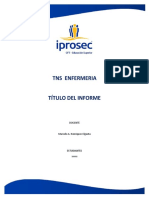 Formato Trabajo de Investigación o Informe - 2022