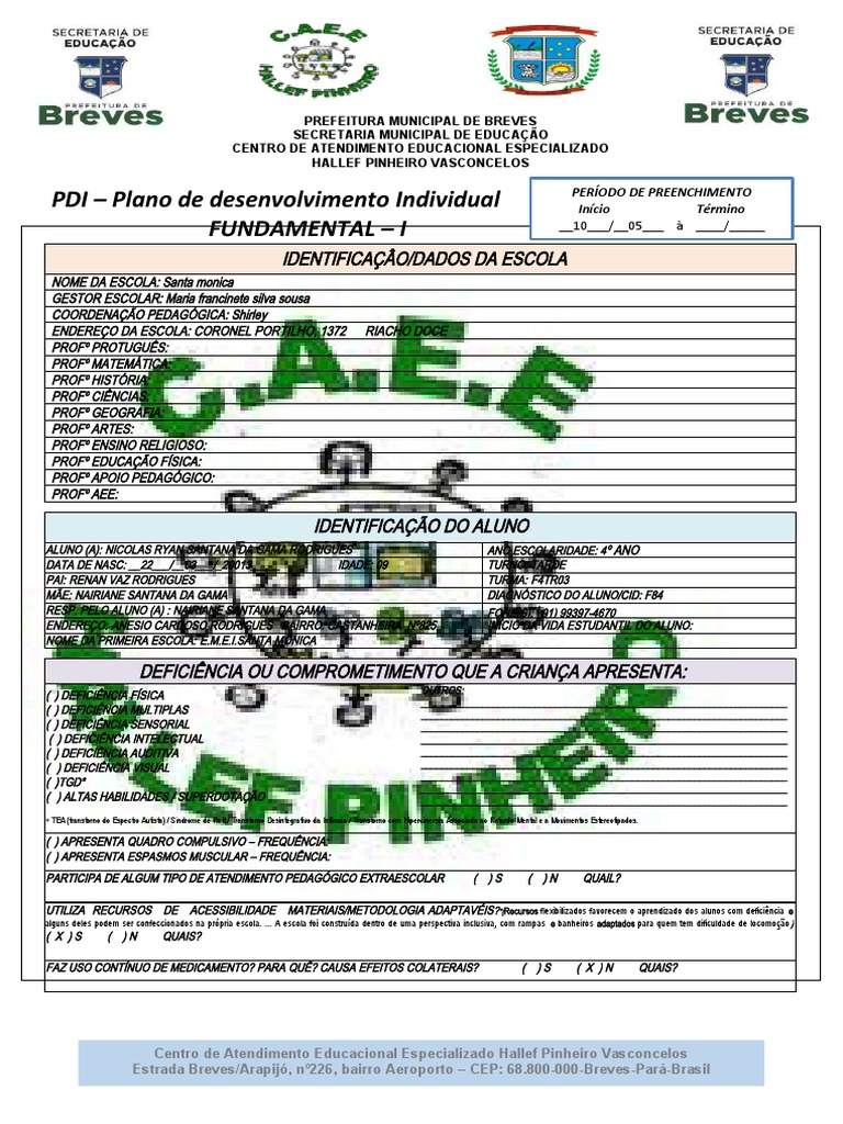 PDI para Aluno com Necessidades Especiais | PDF | Educação Especial ...