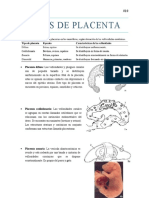 Tipos de placenta en animales: difusa, cotiledonaria, zonaria y discoidal
