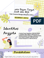 Rekayasa Organ Target pada Tanaman Mangga