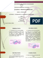 JPEduardo-Unidad 1 - Actividad 3 - Fecuandacion y El Desarrollo Embrionario