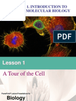 Chapter 1 Intro to Cmb_ 01 a Tour of the Cell