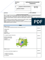 Diagnostico 8vo CCNN