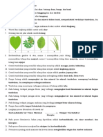 Tumbuhan Akar Batang Daun