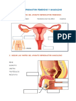 Aparatos Reproductores