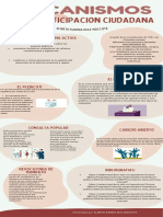 Mecanismos de La Partipacion Ciudadana