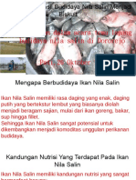 OPTIMALKAN NUTRI IKAN NILA