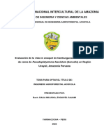 Universidad Nacional Intercultural de La Amazonia: Facultad de Ingenieria Y Ciencias Ambientales