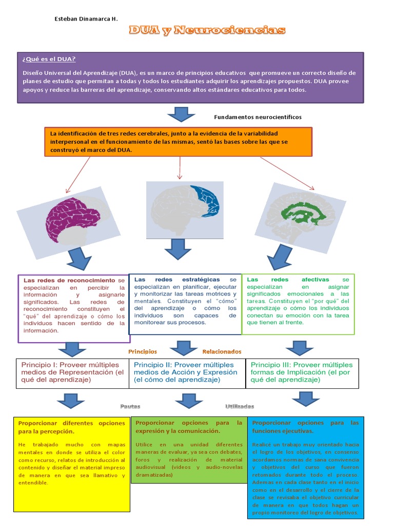 Fundamentos del DUA y sus Redes Cerebrales | PDF | Aprendizaje | Las ...