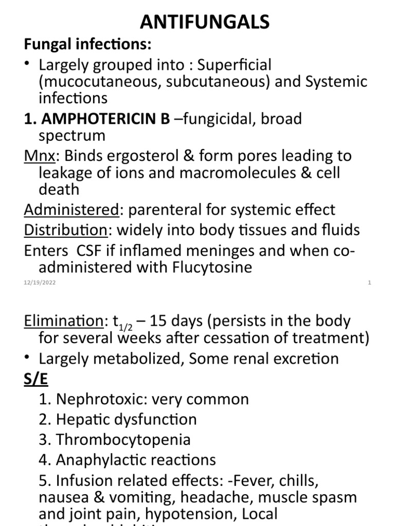 An InDepth Review of Common Antifungal Medications Their Mechanisms
