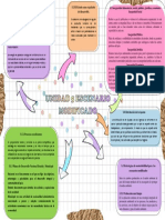 Mapa Mental Desarrollo