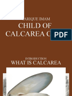 Child of Calc Carb