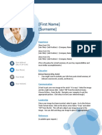 CV Template 2