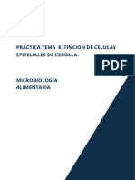 Práctica Tema 8. Tinción de Células Epiteliales de Cebolla