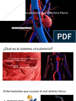 Sistema Circulatorio y Ejercicio Físico