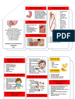 Leaflet Gastritis Kelompok 4