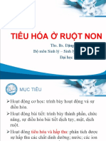 CKI - Tiêuhóa Ru T Non