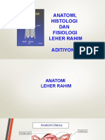 Anatomi, Histologi & Fisiologi Serviks