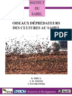 1997 - Oiseaux Déprédateurs Des Cultures Au Sahel