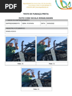 Escala Ringelmann | PDF