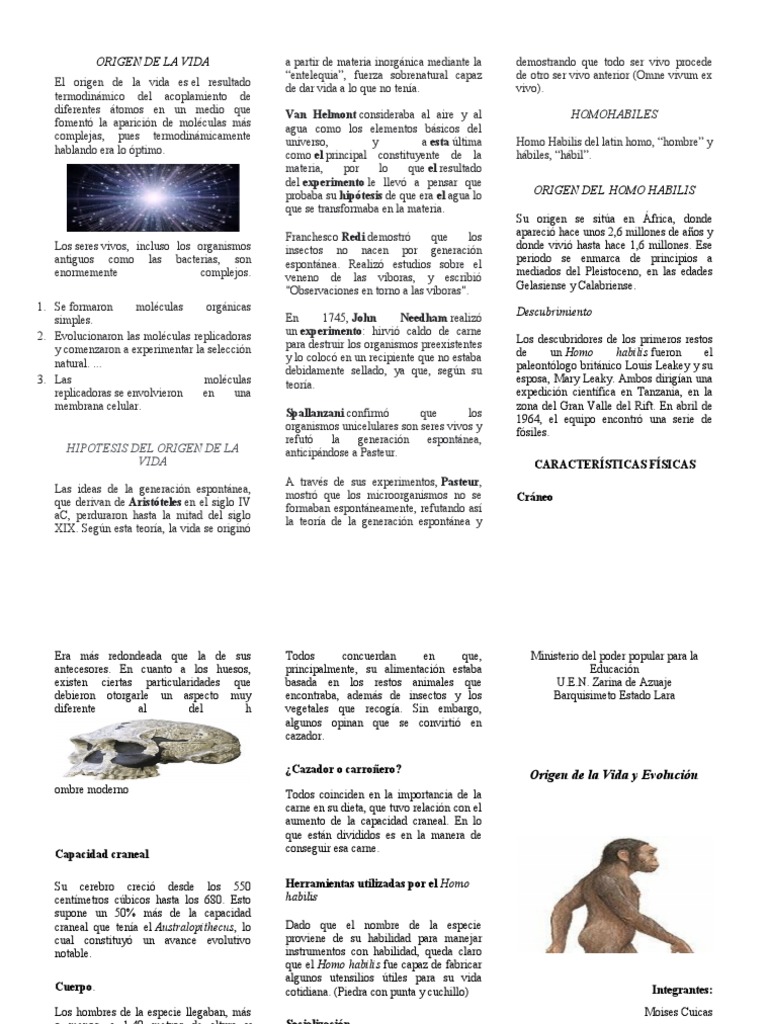 Origen y Evolución de la Vida | PDF | Abiogénesis | Homo