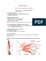 Pohybová Sústava + Svaly Poznámky