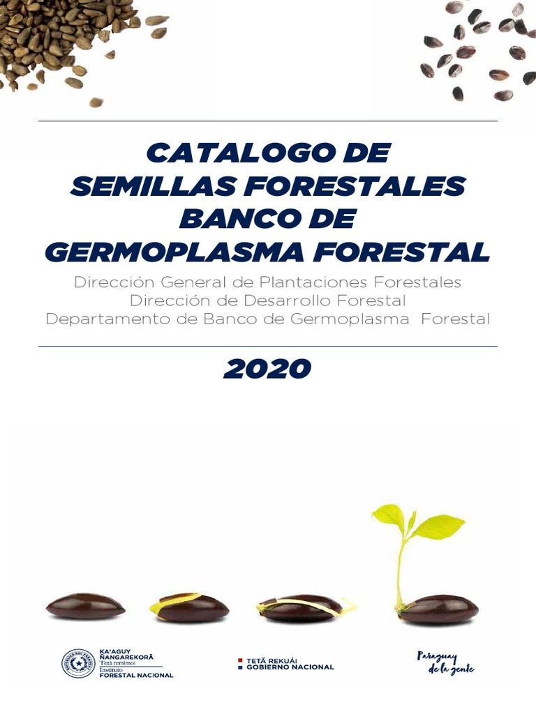 cat-logo-de-semillas-forestales-2020-pdf-siembra-arboles