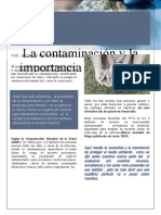 Artículo - La Contaminación y La Importancia de Frenarlo - Ciencias