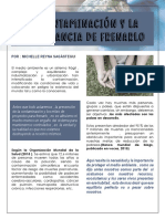 La Contaminación y La Importancia de Frenarlo - Michelle Reyna